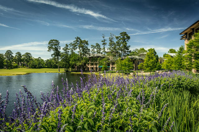 The Woodlands, Texas